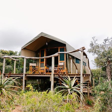 Woodbury Tented Camp - Réserve animalière d'Amakhala Extérieur photo