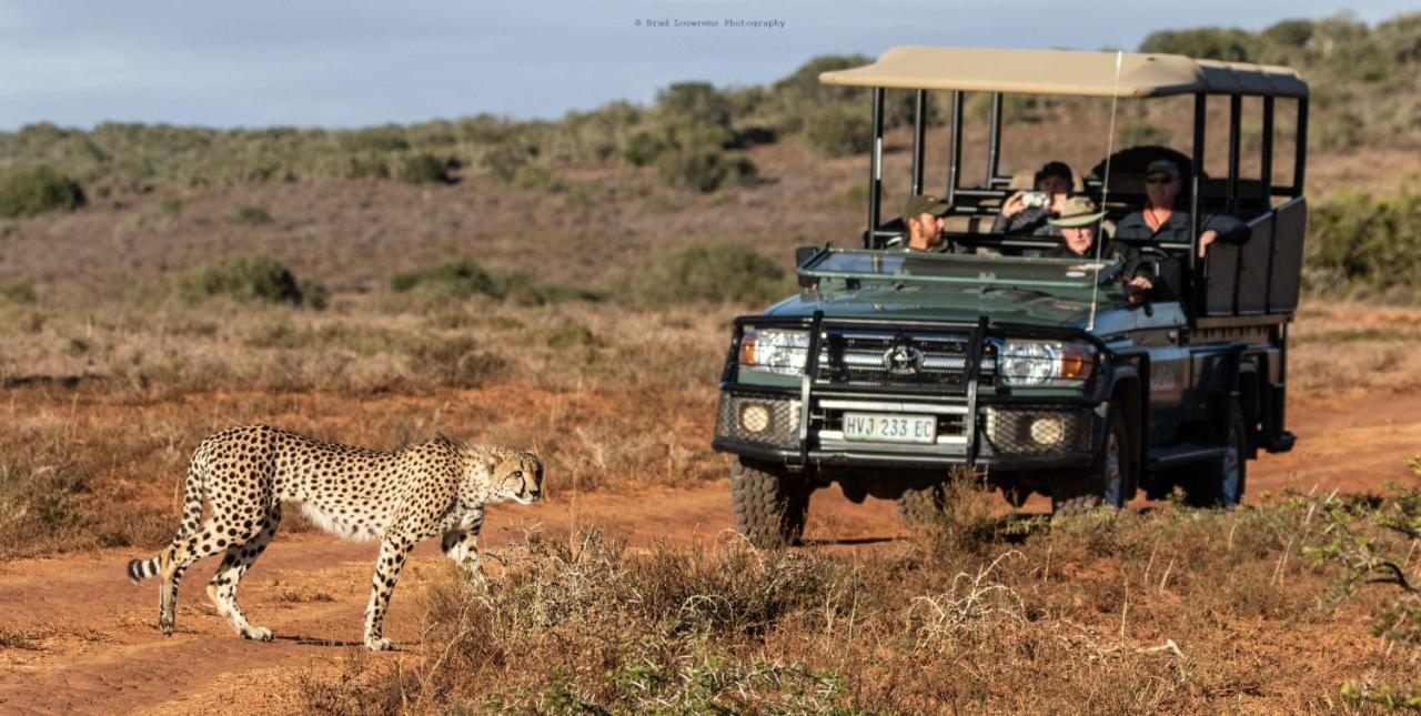 Woodbury Tented Camp - Réserve animalière d'Amakhala Extérieur photo