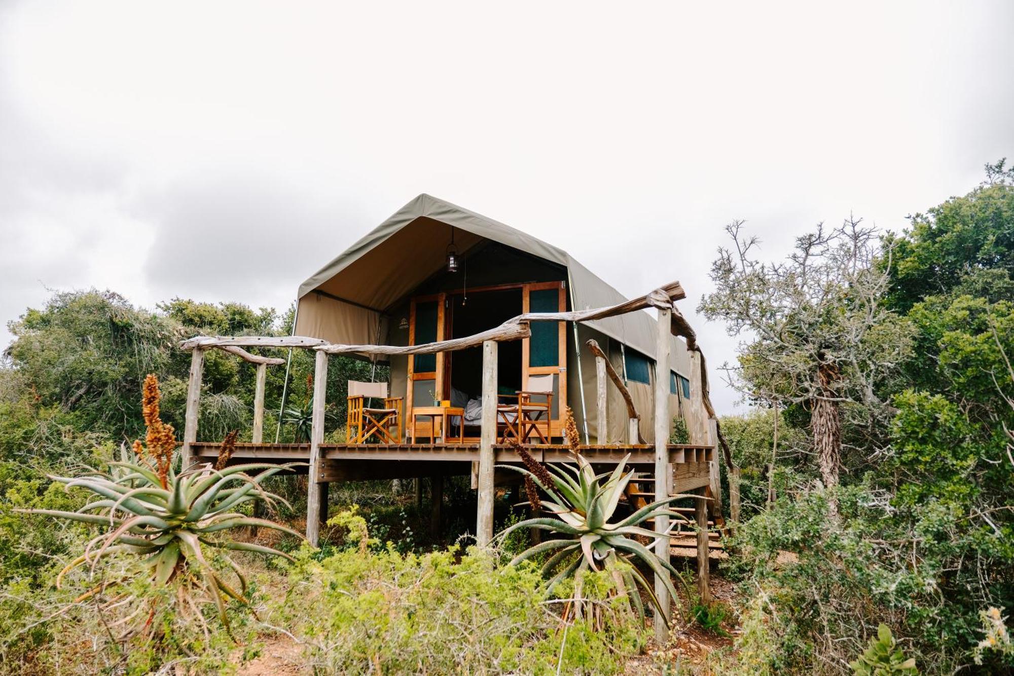 Woodbury Tented Camp - Réserve animalière d'Amakhala Extérieur photo