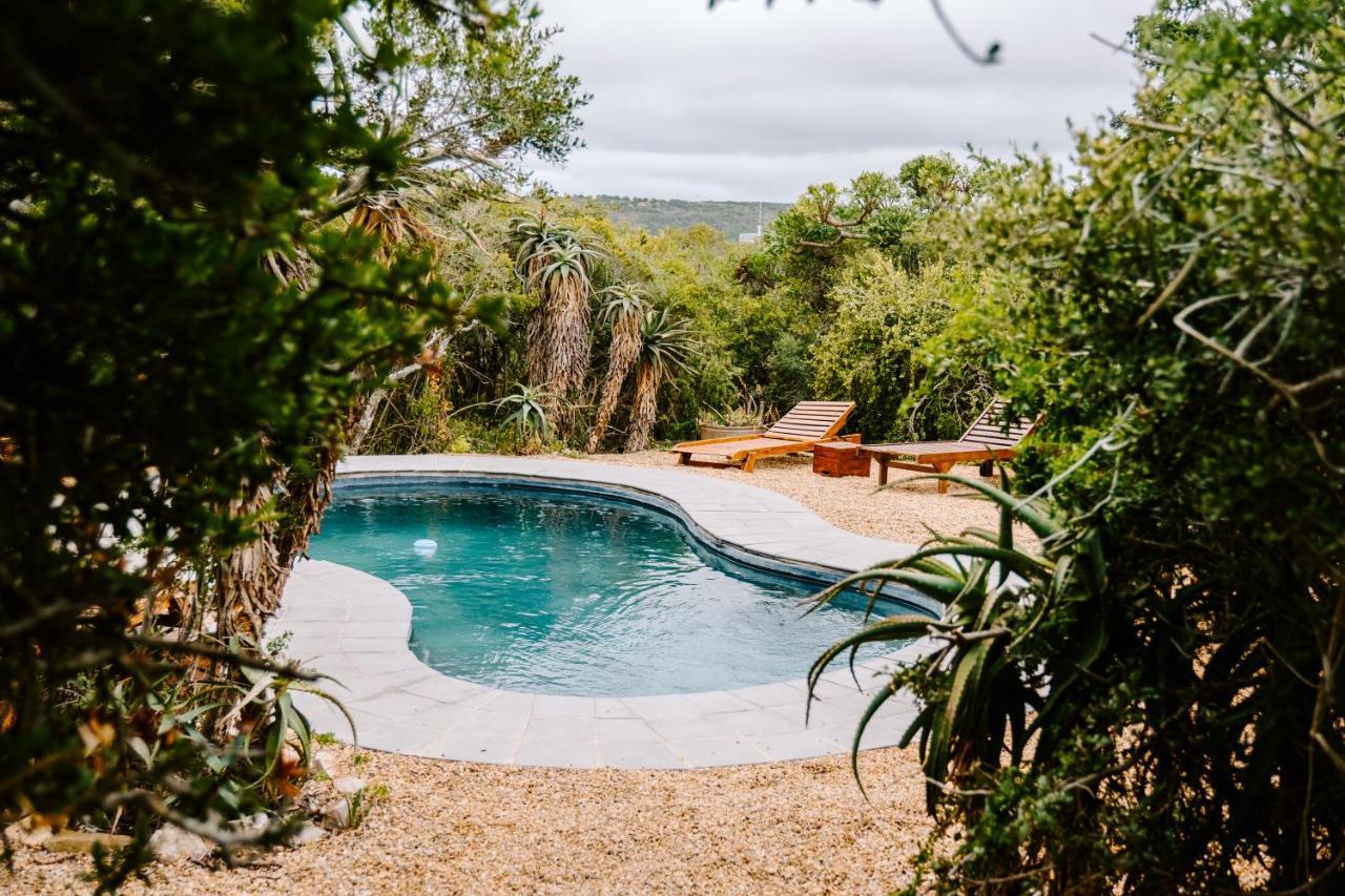Woodbury Tented Camp - Réserve animalière d'Amakhala Extérieur photo