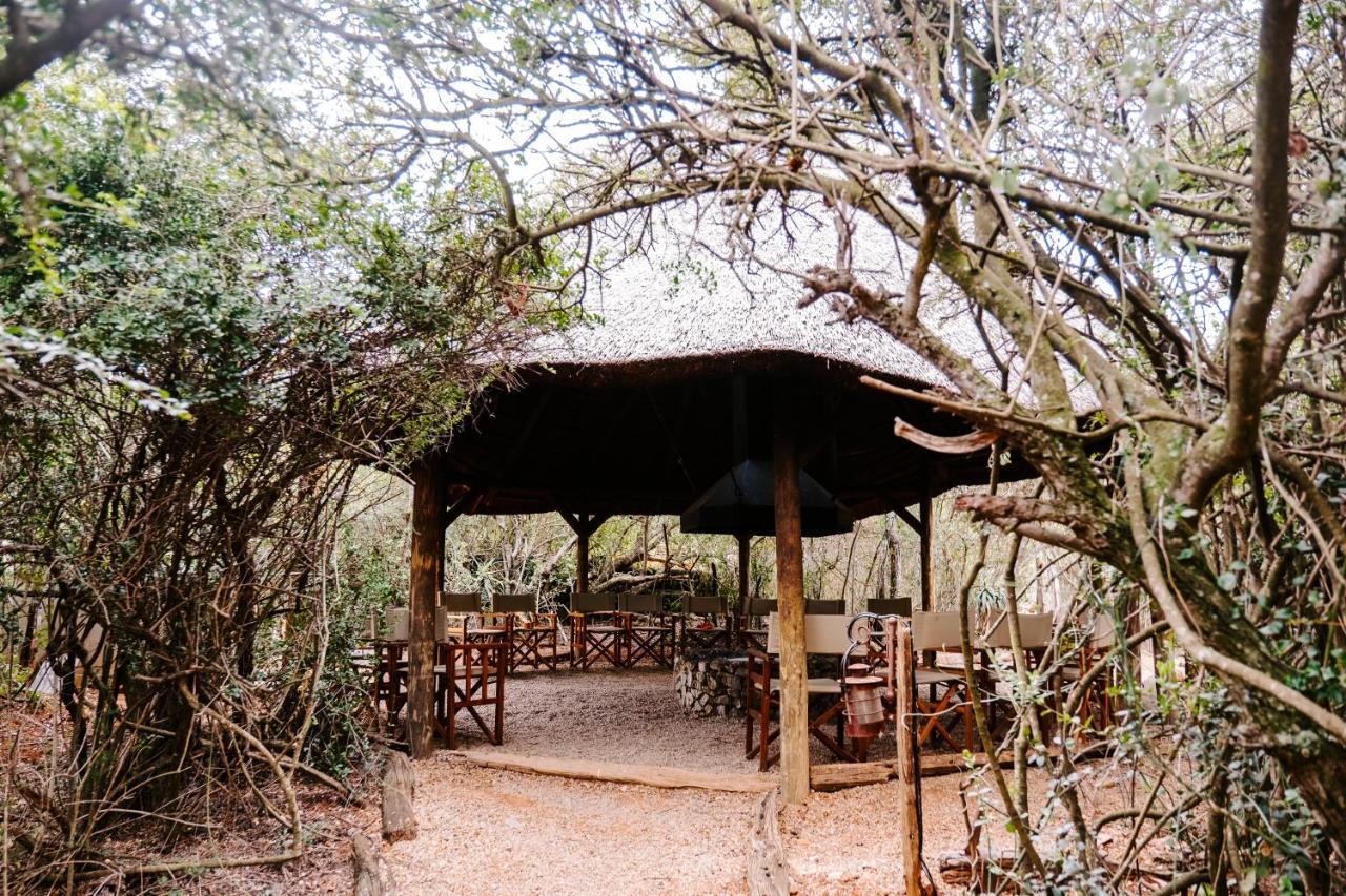 Woodbury Tented Camp - Réserve animalière d'Amakhala Extérieur photo
