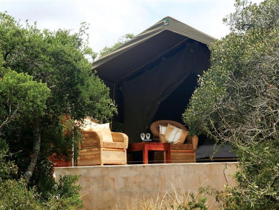 Woodbury Tented Camp - Réserve animalière d'Amakhala Extérieur photo