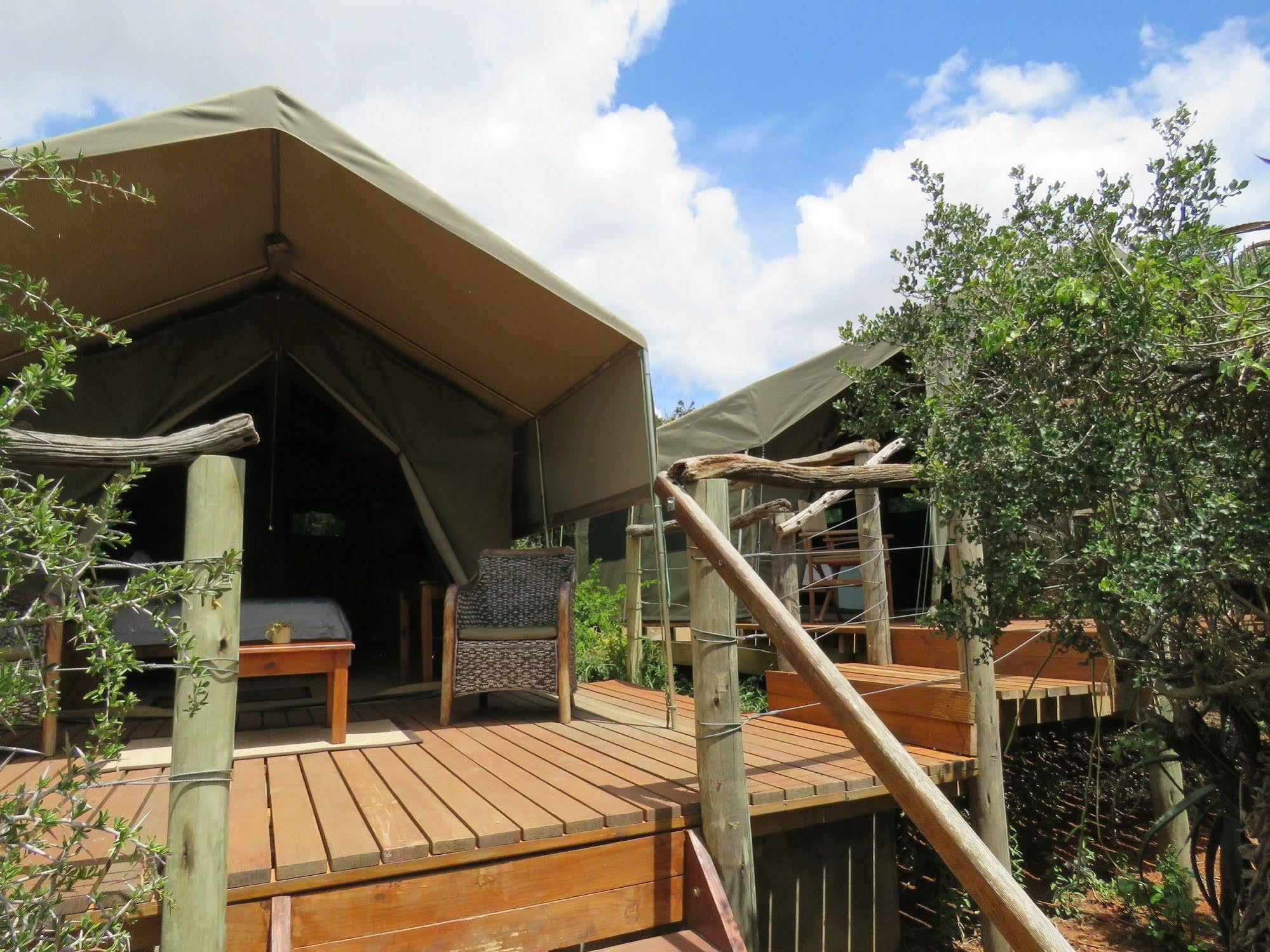 Hotel Woodbury Tented Camp - Réserve animalière d'Amakhala Extérieur photo