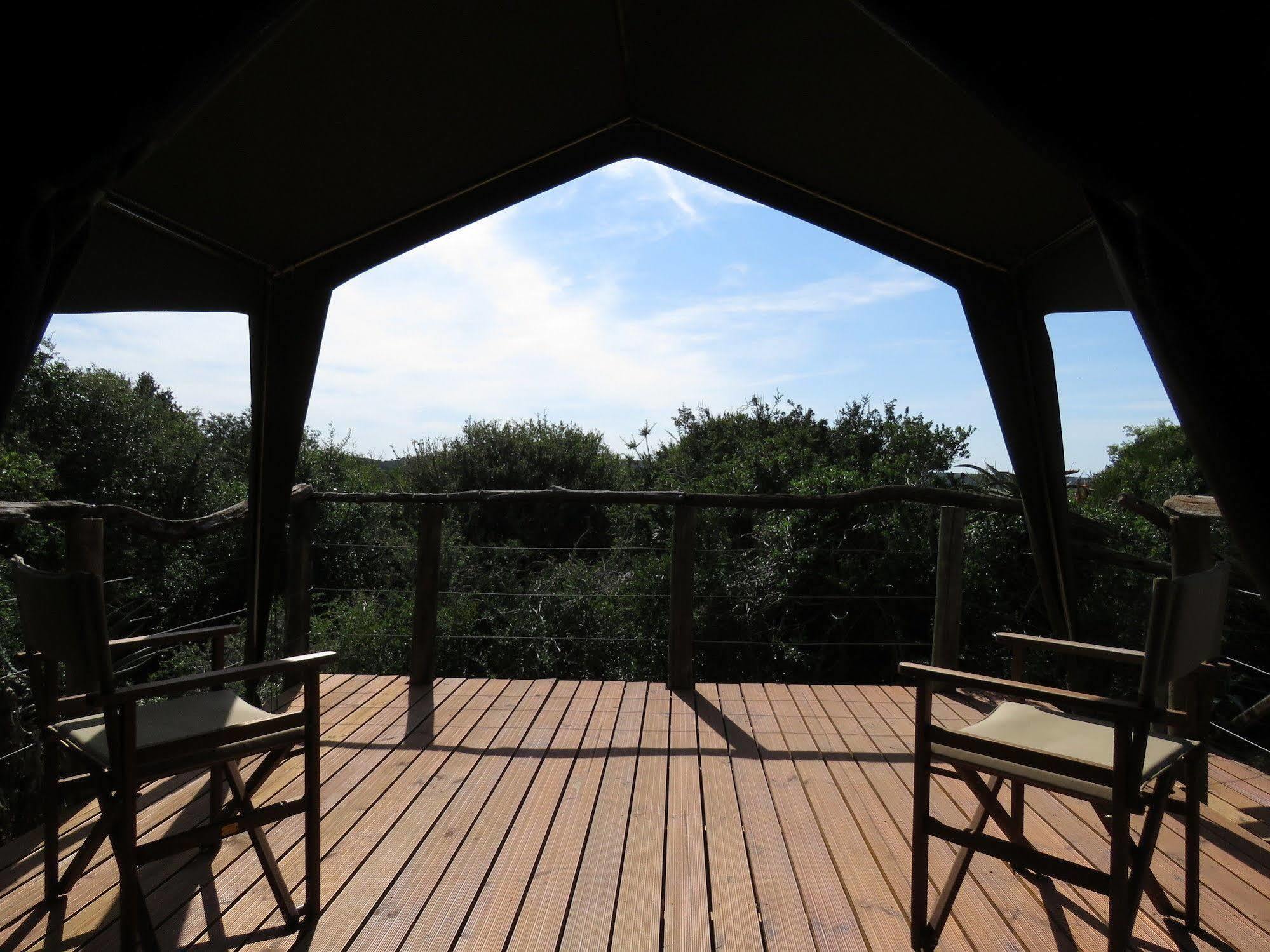 Woodbury Tented Camp - Réserve animalière d'Amakhala Extérieur photo