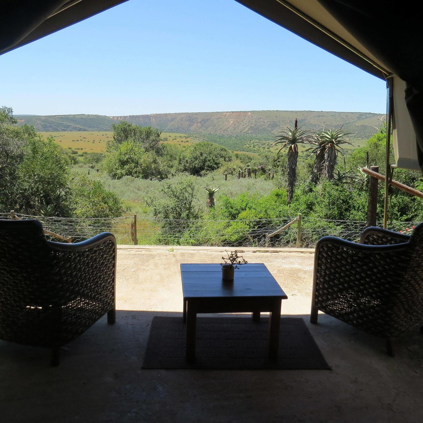 Woodbury Tented Camp - Réserve animalière d'Amakhala Extérieur photo