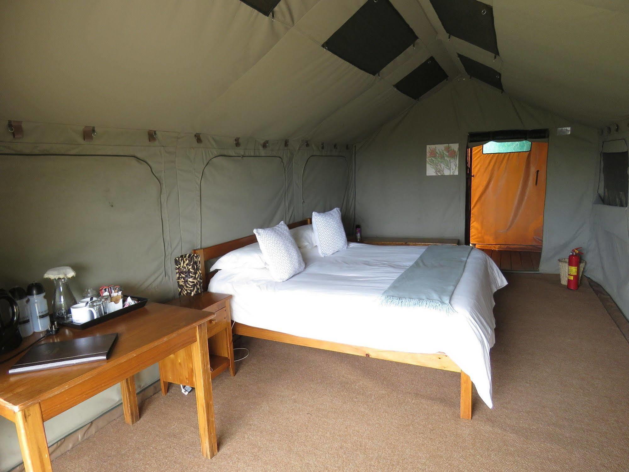 Woodbury Tented Camp - Réserve animalière d'Amakhala Extérieur photo