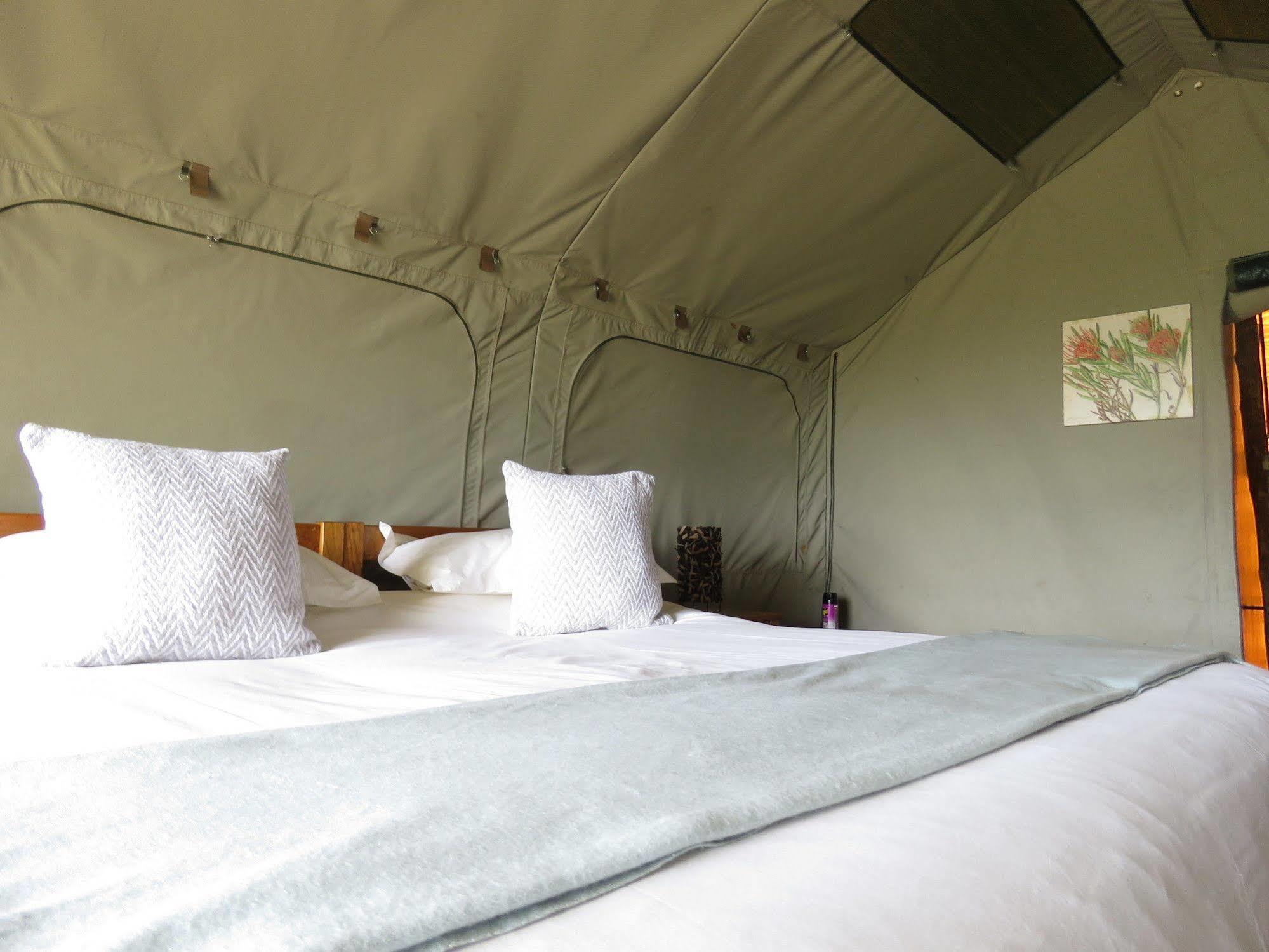 Woodbury Tented Camp - Réserve animalière d'Amakhala Extérieur photo