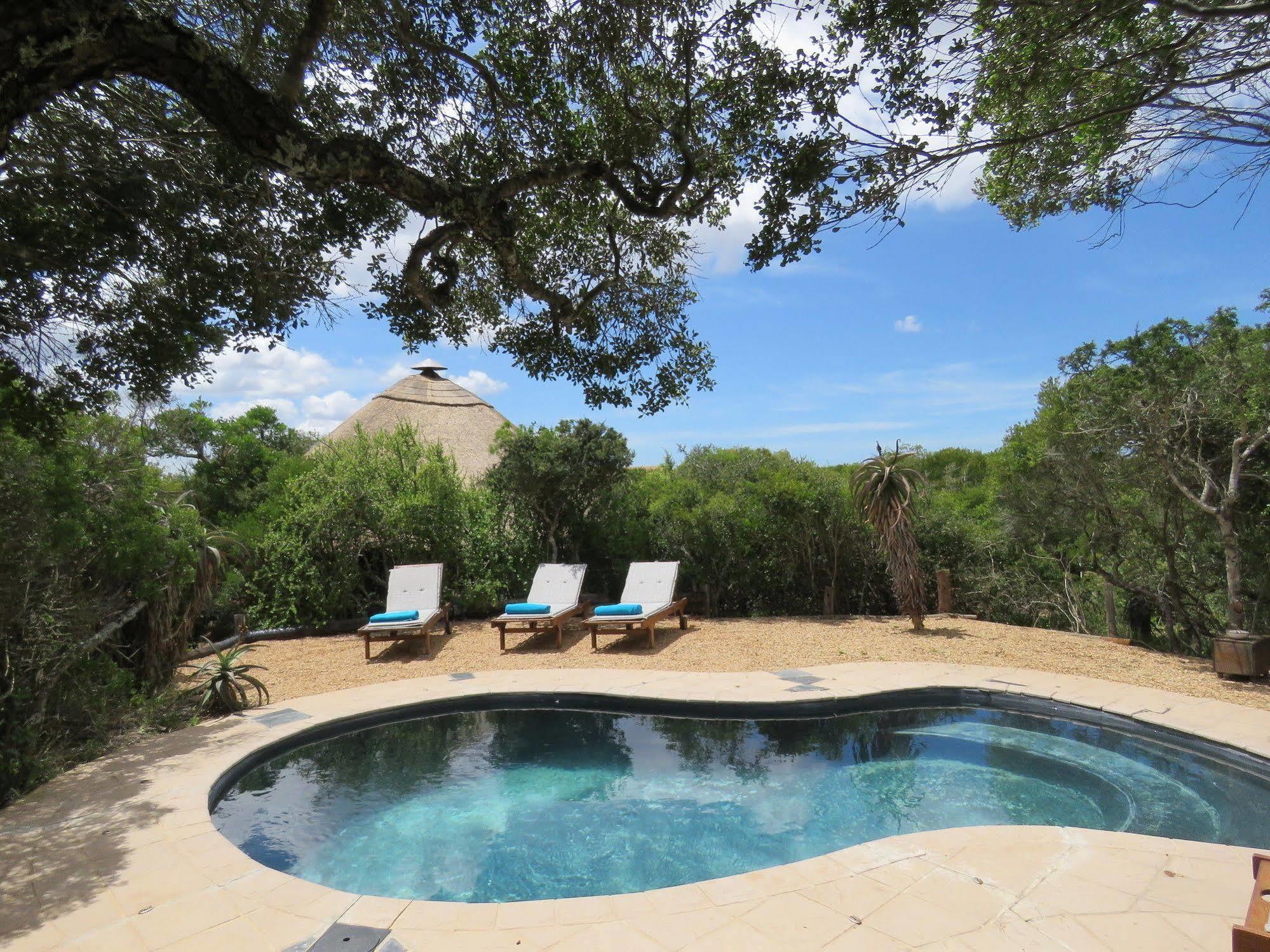 Woodbury Tented Camp - Réserve animalière d'Amakhala Extérieur photo