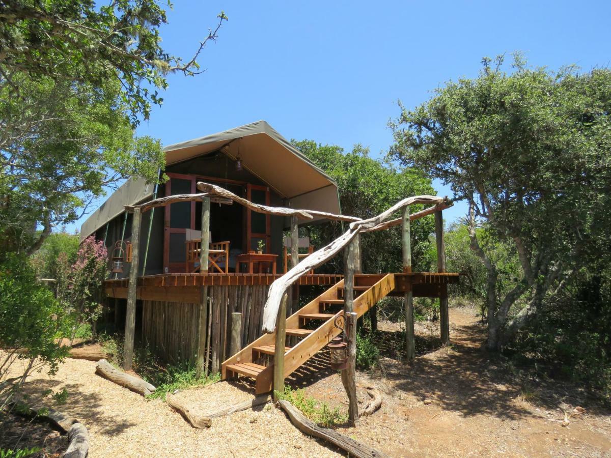 Woodbury Tented Camp - Réserve animalière d'Amakhala Extérieur photo
