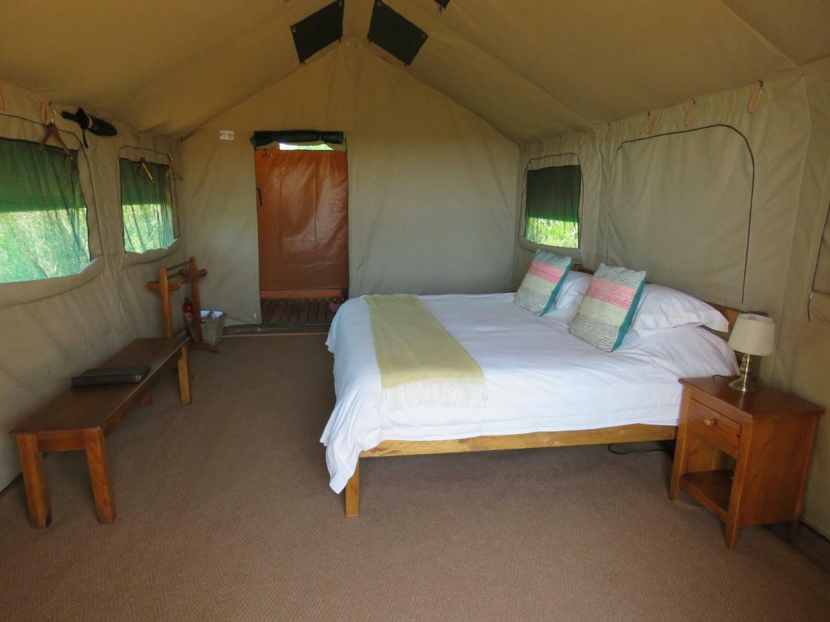 Woodbury Tented Camp - Réserve animalière d'Amakhala Extérieur photo