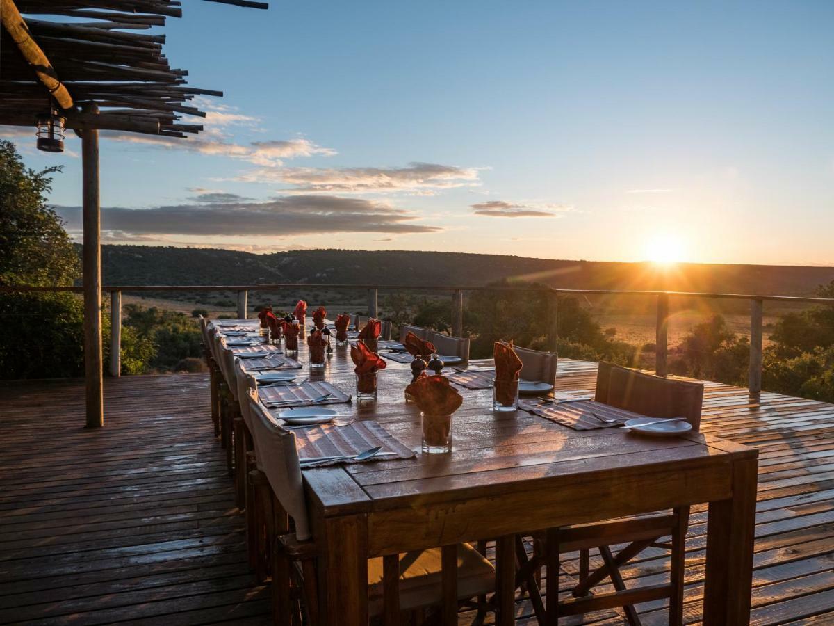 Woodbury Tented Camp - Réserve animalière d'Amakhala Extérieur photo